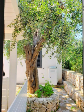 Villa Gargano-Manfredi Homes&Villas Mattinata